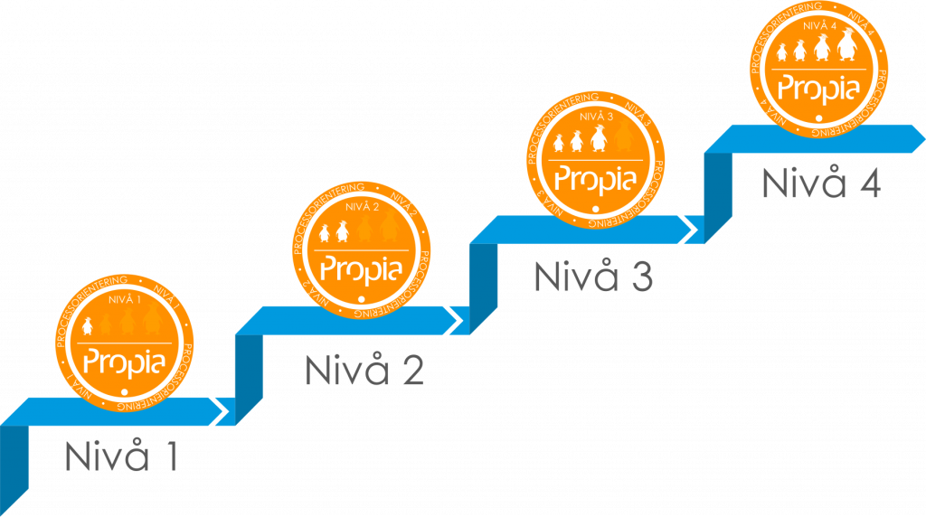 processorienteringstrappa-text