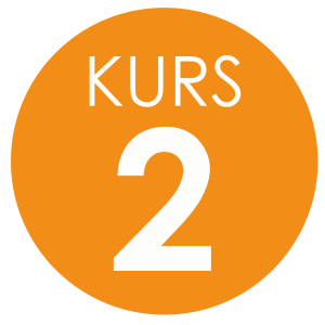 Kurs 2_Rityta 1