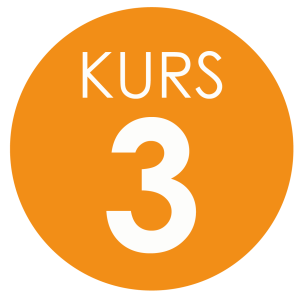 Kurs 3_Rityta 1