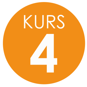 Kurs 4_Rityta 1