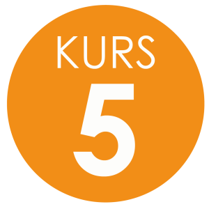 Kurs 5_Rityta 1