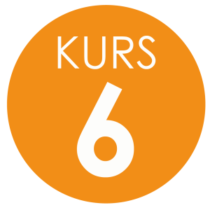 Kurs 6_Rityta 1